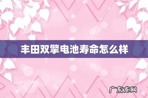 丰田双擎电池寿命怎么样