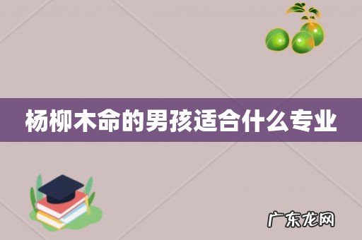 杨柳木命的男孩适合什么专业