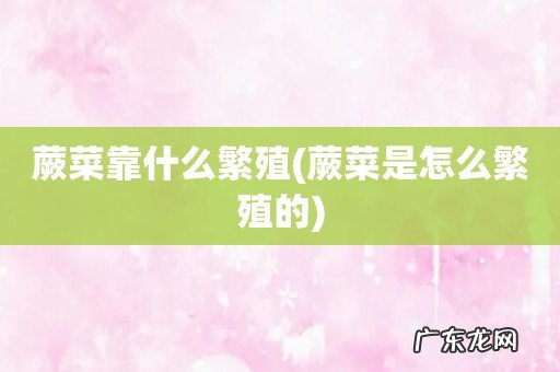 蕨菜是怎么繁殖的 蕨菜靠什么繁殖