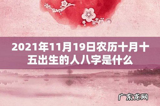 2021年11月19日农历十月十五出生的人八字是什么
