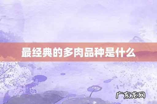 最经典的多肉品种是什么