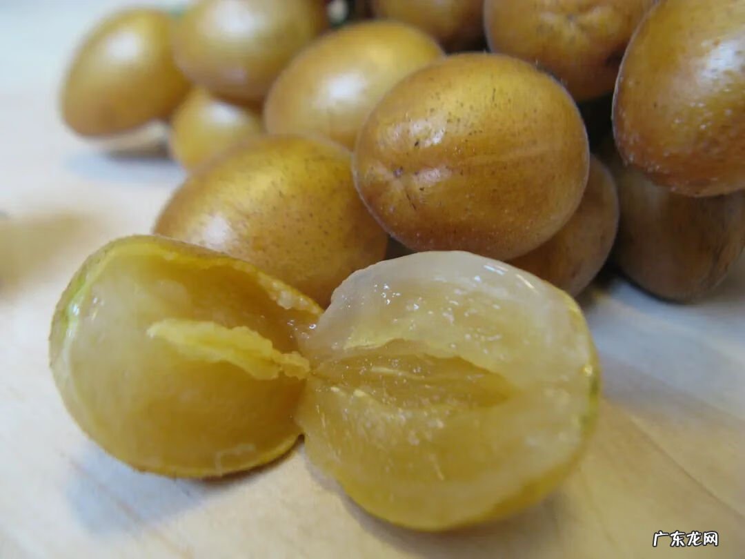 黄皮果种类大全 黄皮水果有哪些