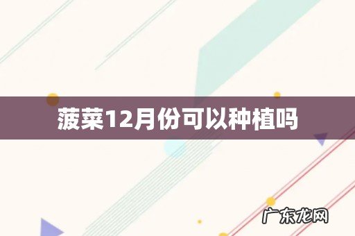 菠菜12月份可以种植吗