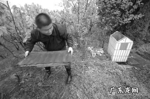 新坟怎样看出是好风水 新坟好风水要什么出现