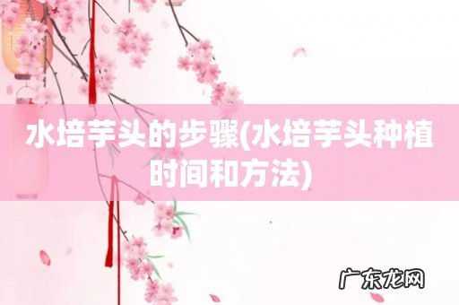 水培芋头种植时间和方法 水培芋头的步骤