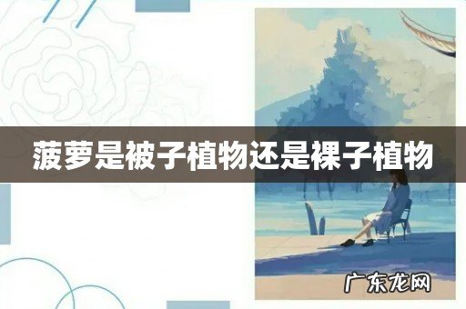 菠萝是被子植物还是裸子植物