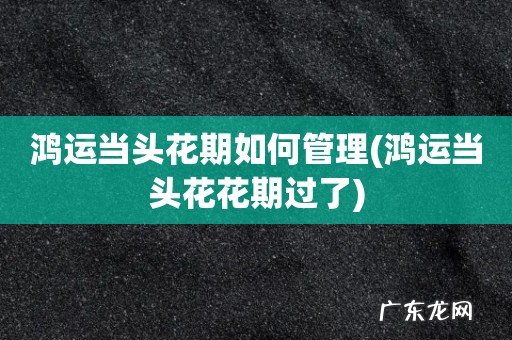 鸿运当头花花期过了 鸿运当头花期如何管理