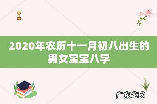 2020年农历十一月初八出生的男女宝宝八字