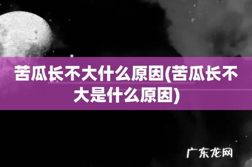 苦瓜长不大是什么原因 苦瓜长不大什么原因
