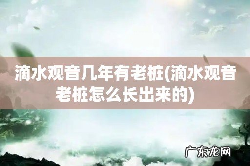 滴水观音老桩怎么长出来的 滴水观音几年有老桩