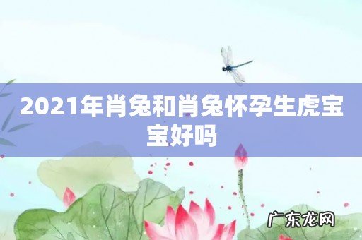 2021年肖兔和肖兔怀孕生虎宝宝好吗