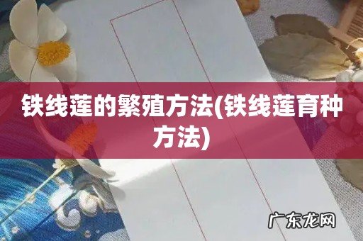 铁线莲育种方法 铁线莲的繁殖方法