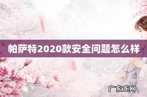 帕萨特2020款安全问题怎么样