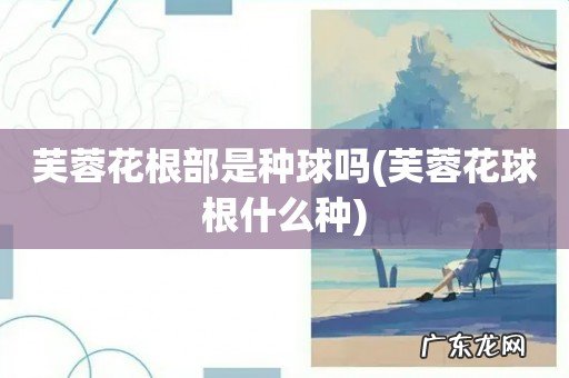 芙蓉花球根什么种 芙蓉花根部是种球吗