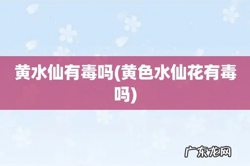 黄色水仙花有毒吗 黄水仙有毒吗