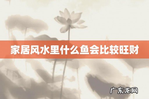 家居风水里什么鱼会比较旺财