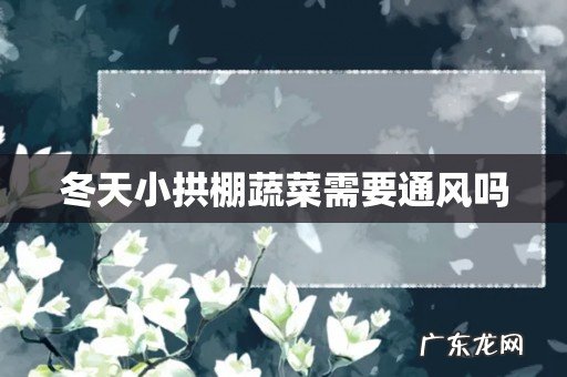 冬天小拱棚蔬菜需要通风吗