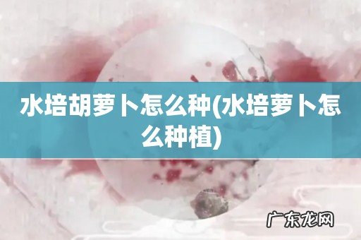 水培萝卜怎么种植 水培胡萝卜怎么种