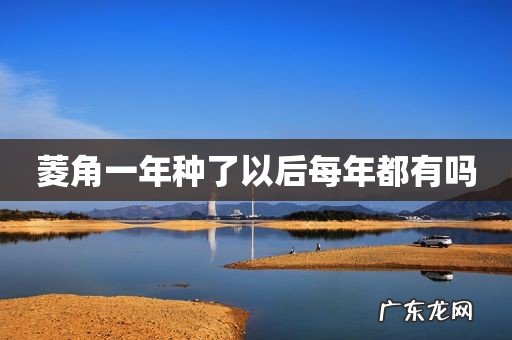 菱角一年种了以后每年都有吗