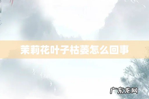 茉莉花叶子枯萎怎么回事