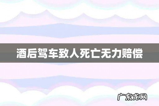 酒后驾车致人死亡无力赔偿