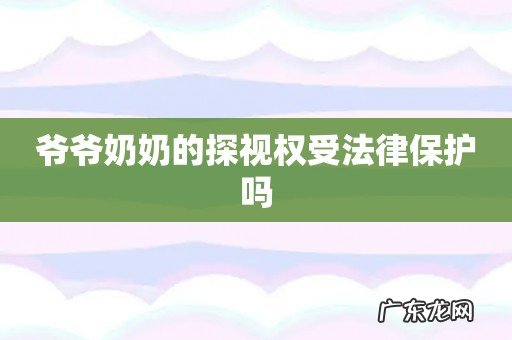 爷爷奶奶的探视权受法律保护吗