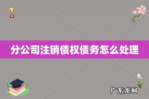 分公司注销债权债务怎么处理