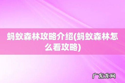 蚂蚁森林怎么看攻略 蚂蚁森林攻略介绍