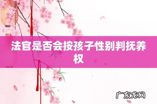 法官是否会按孩子性别判抚养权