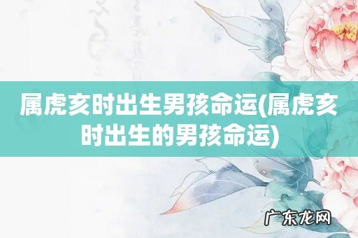 属虎亥时出生的男孩命运 属虎亥时出生男孩命运