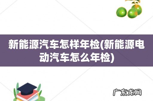 新能源电动汽车怎么年检 新能源汽车怎样年检