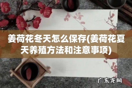 姜荷花夏天养殖方法和注意事项 姜荷花冬天怎么保存