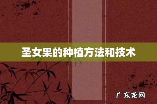 圣女果的种植方法和技术