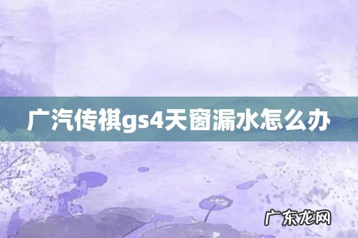 广汽传祺gs4天窗漏水怎么办
