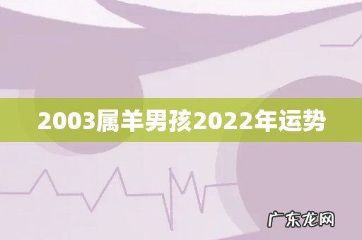 2003属羊男孩2022年运势