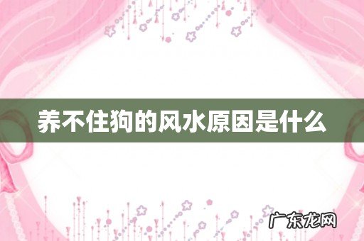 养不住狗的风水原因是什么
