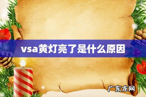 vsa黄灯亮了是什么原因