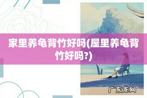 屋里养龟背竹好吗? 家里养龟背竹好吗