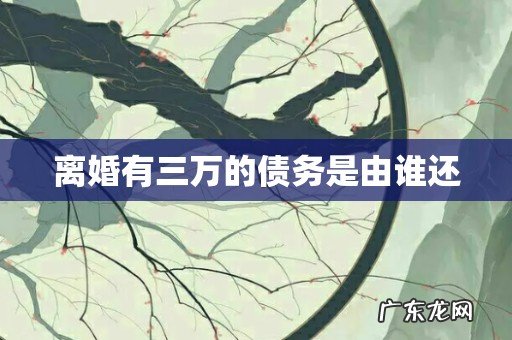 离婚有三万的债务是由谁还