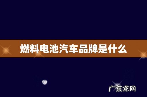 燃料电池汽车品牌是什么