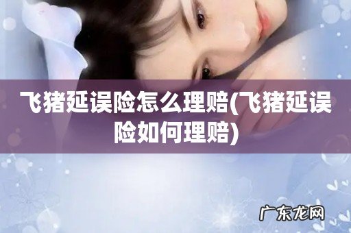 飞猪延误险如何理赔 飞猪延误险怎么理赔