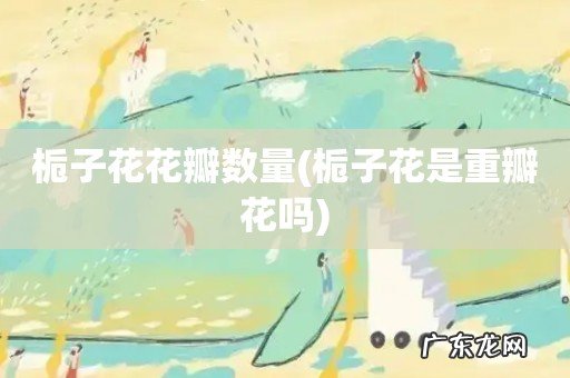 栀子花是重瓣花吗 栀子花花瓣数量