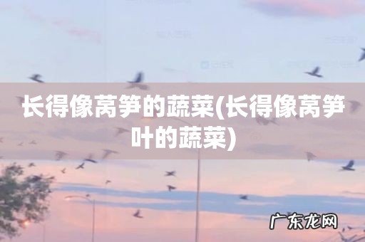 长得像莴笋叶的蔬菜 长得像莴笋的蔬菜