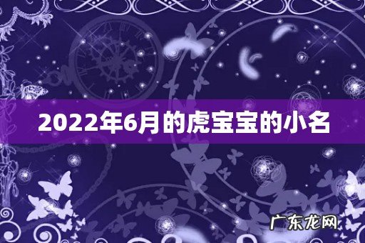 2022年6月的虎宝宝的小名