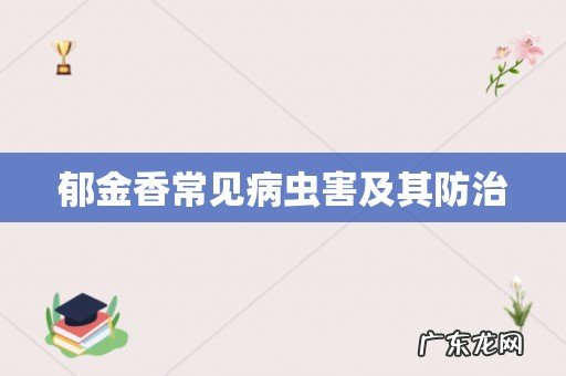 郁金香常见病虫害及其防治