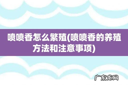 喷喷香的养殖方法和注意事项 喷喷香怎么繁殖
