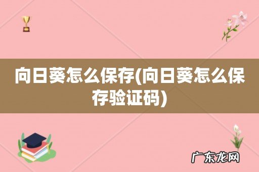 向日葵怎么保存验证码 向日葵怎么保存