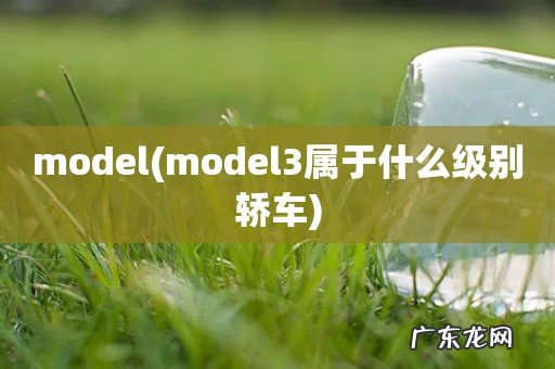 model3属于什么级别轿车 model