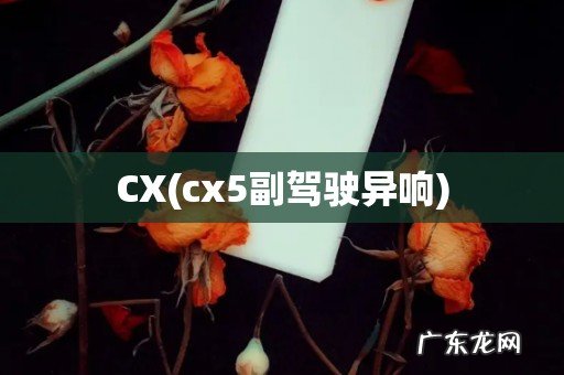 cx5副驾驶异响 CX