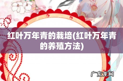 红叶万年青的养殖方法 红叶万年青的栽培